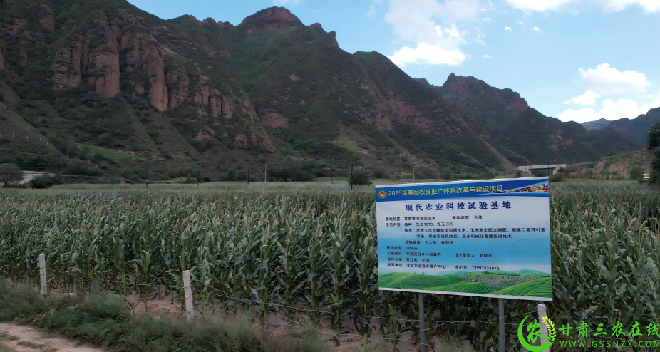 QQ截图20250819114127(1).png