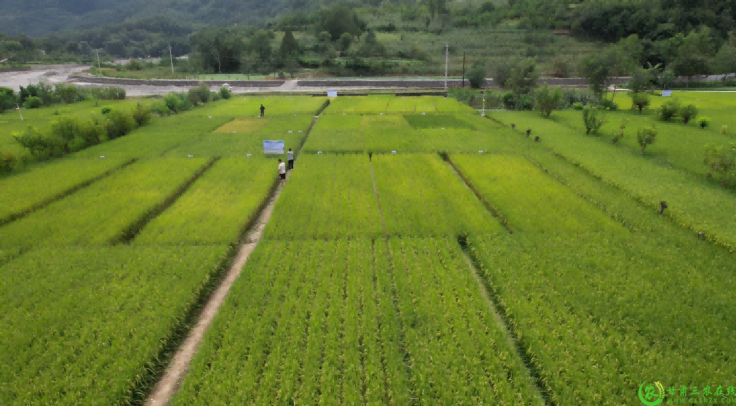 QQ截图20250819115000(1).png