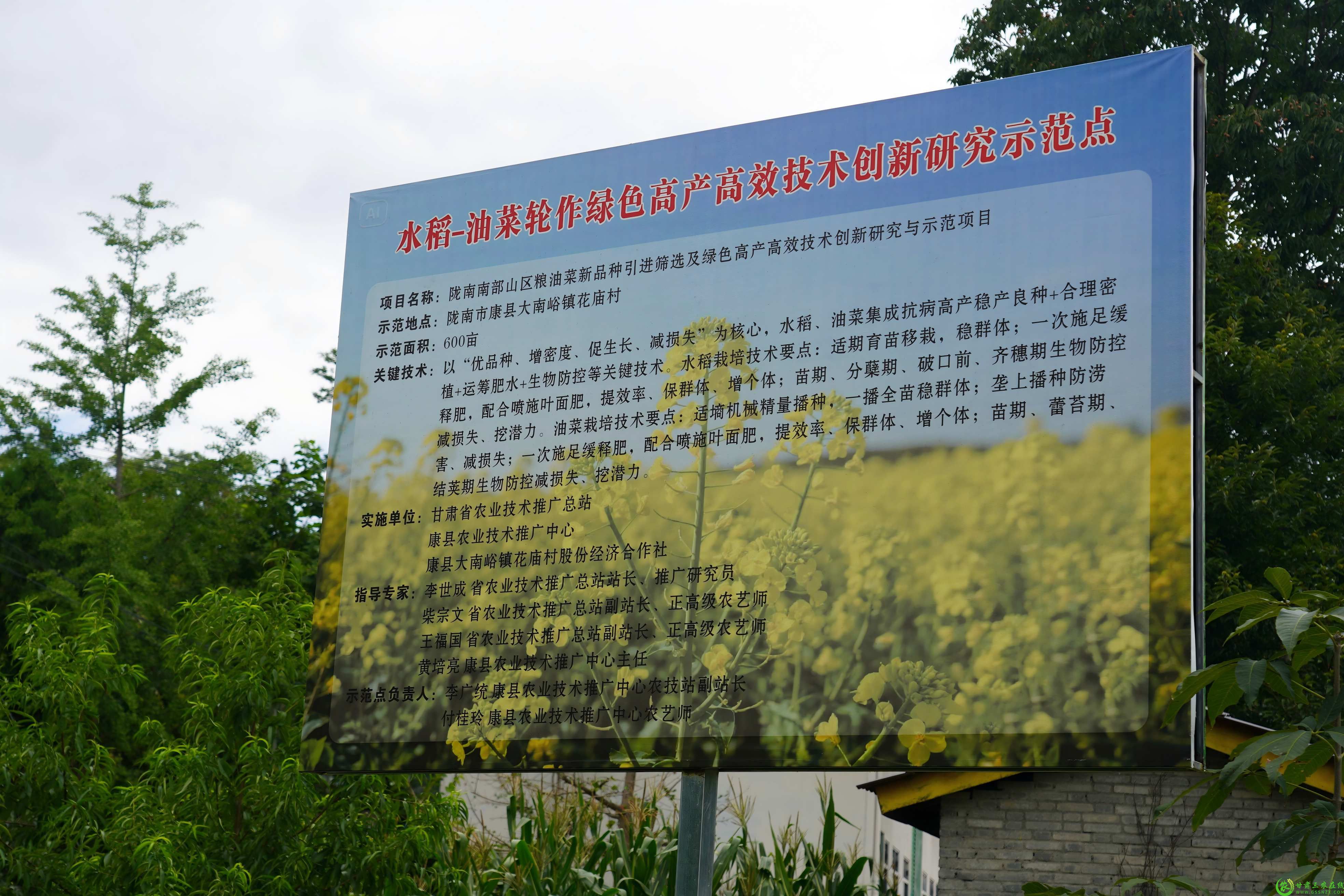 DSC04381(1).jpg