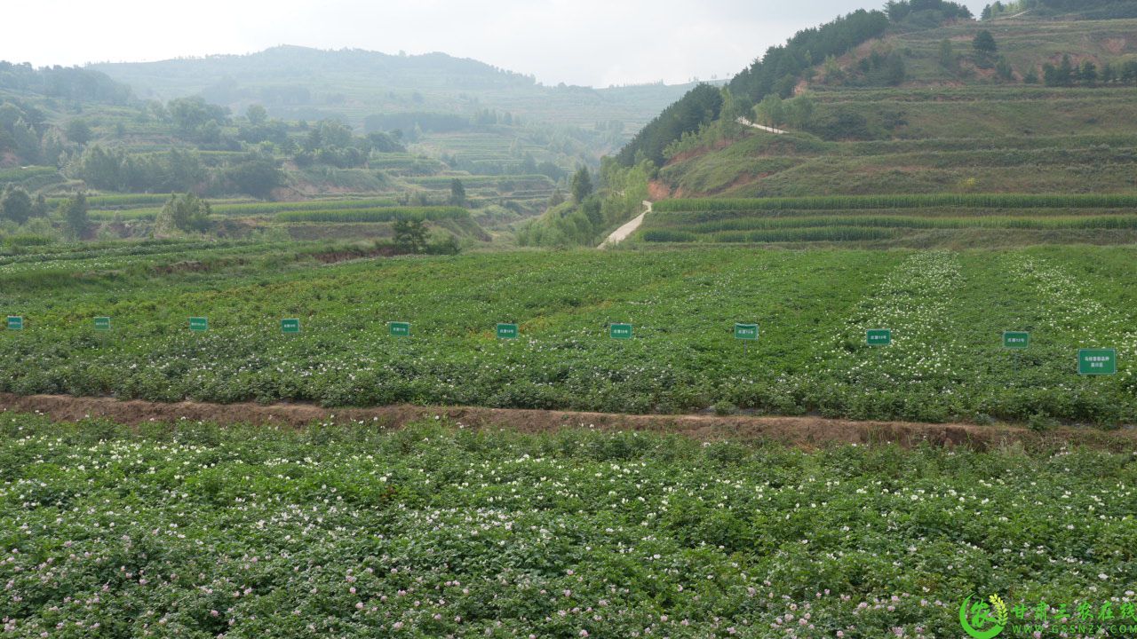 C4284T01.JPG