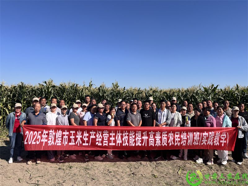 观摩学习强本领  乡村振兴添活力    1.jpg