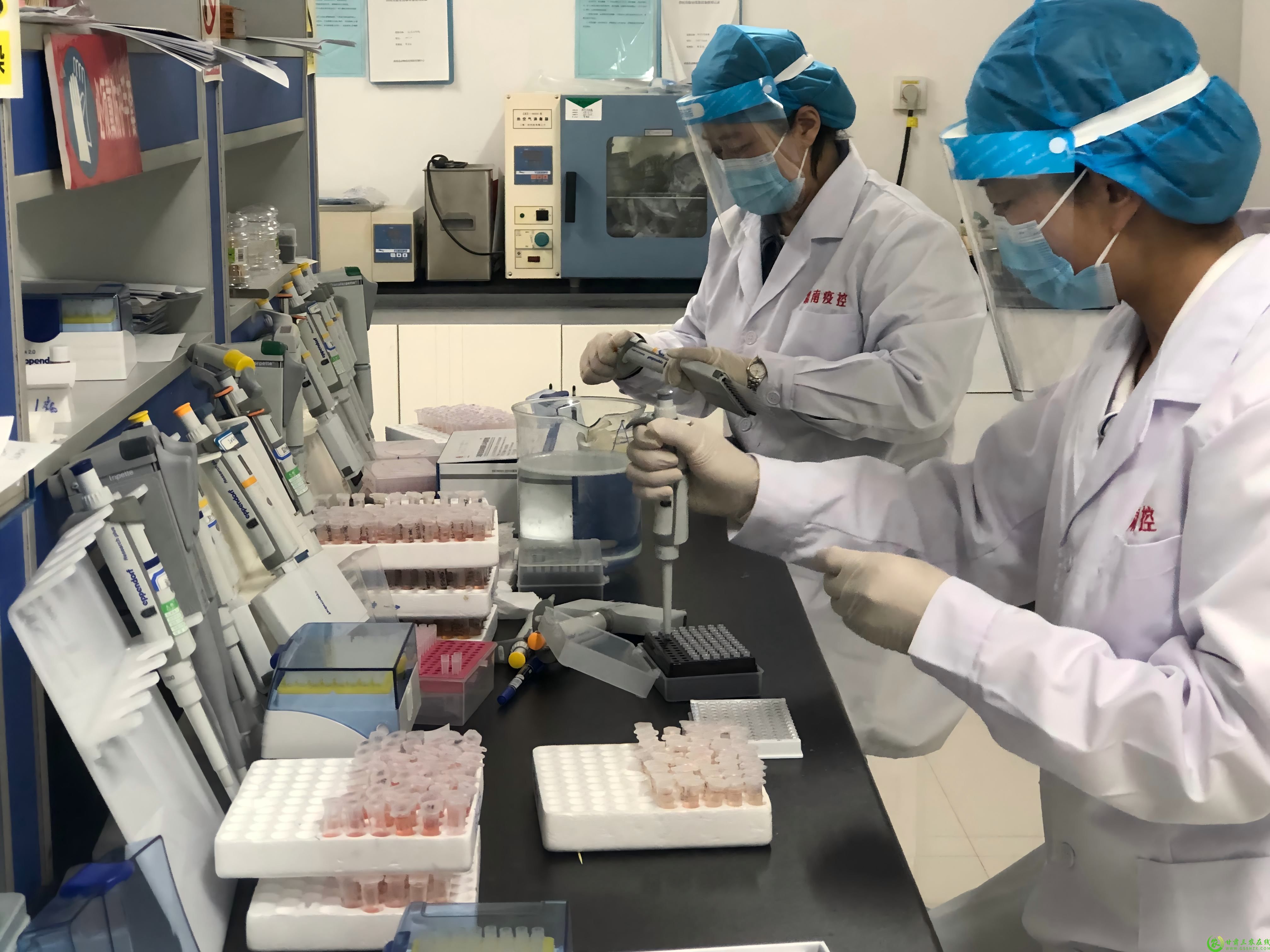 强化动物疫病监测    有效防控汛期动物疫病1(1).jpg