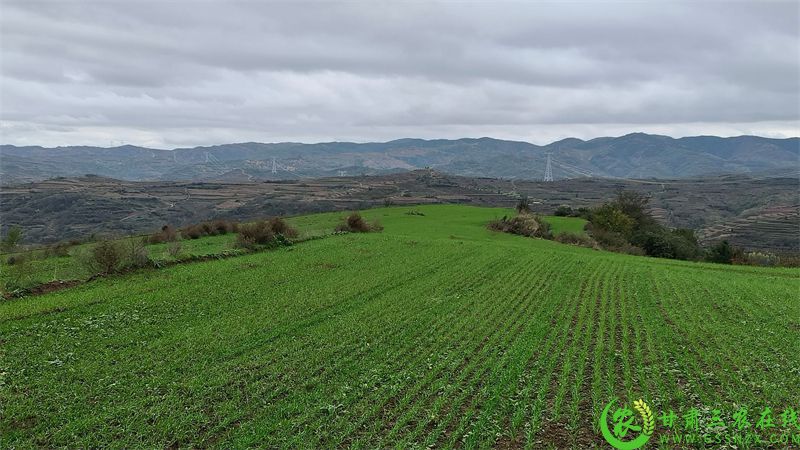 virtual_attach_file (1).jpg