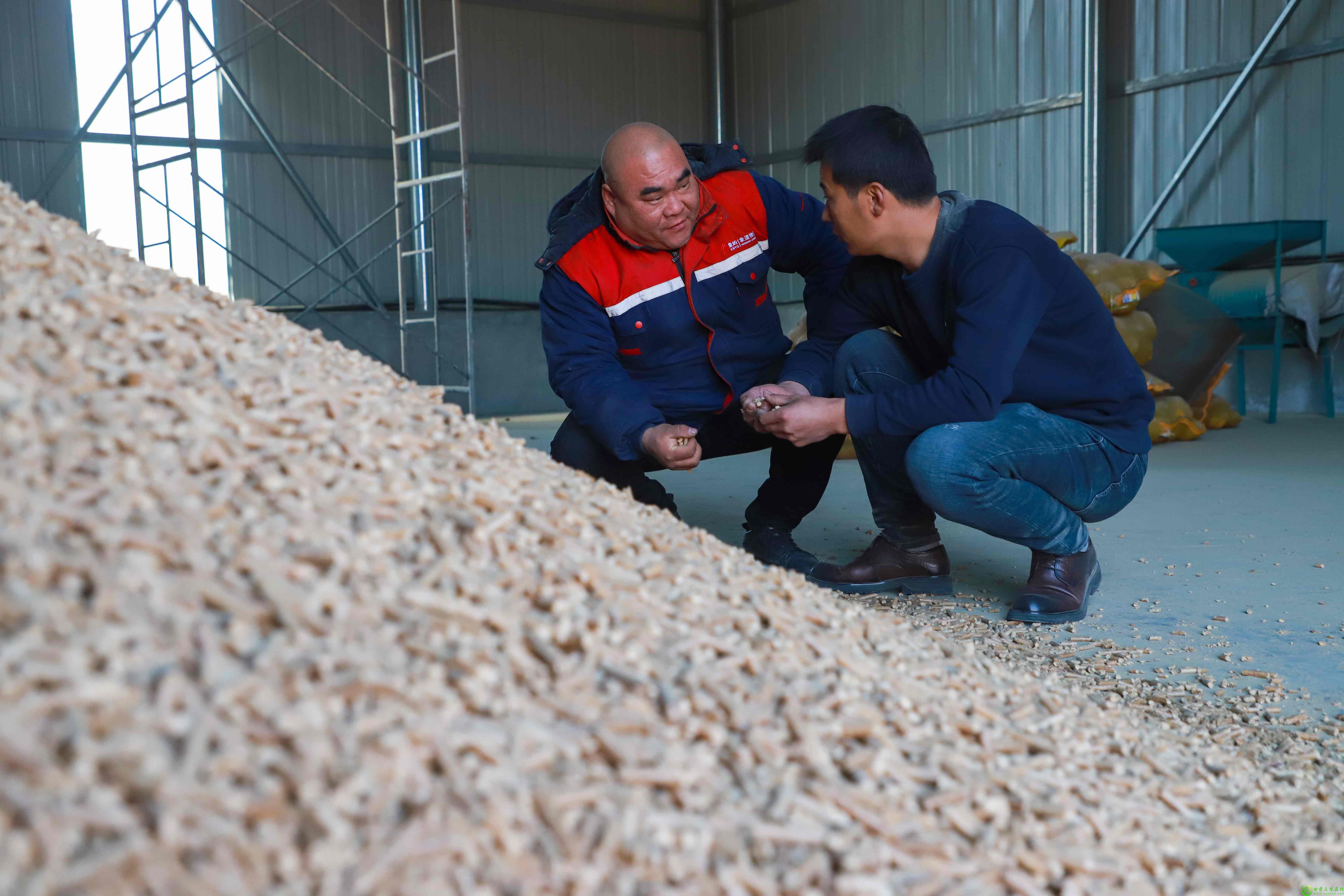 3623b265-7beb-47bb-b1ce-4d4a1b82443c (2).jpg