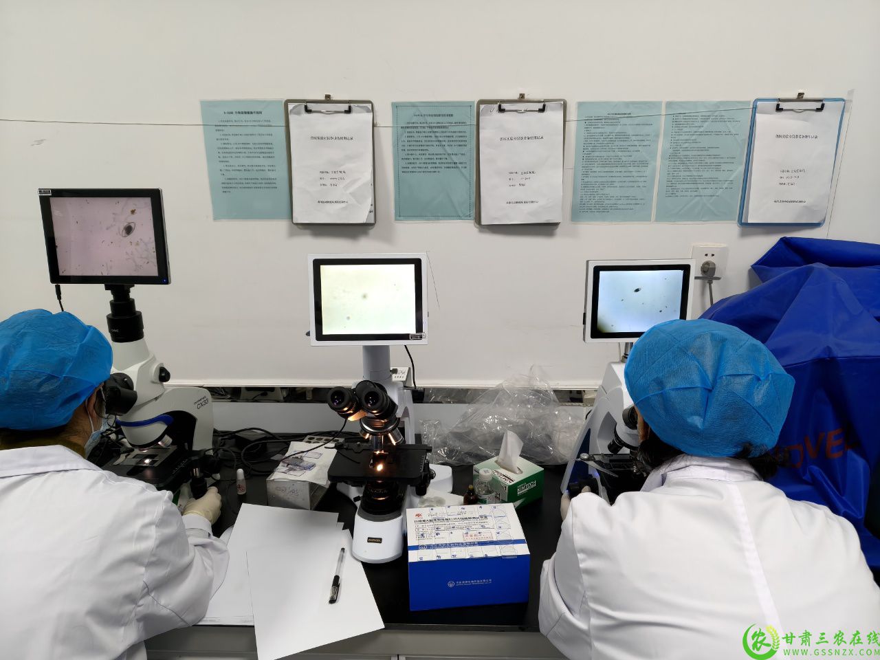 试点应用新型驱虫药  驱虫效果凸显1.jpg