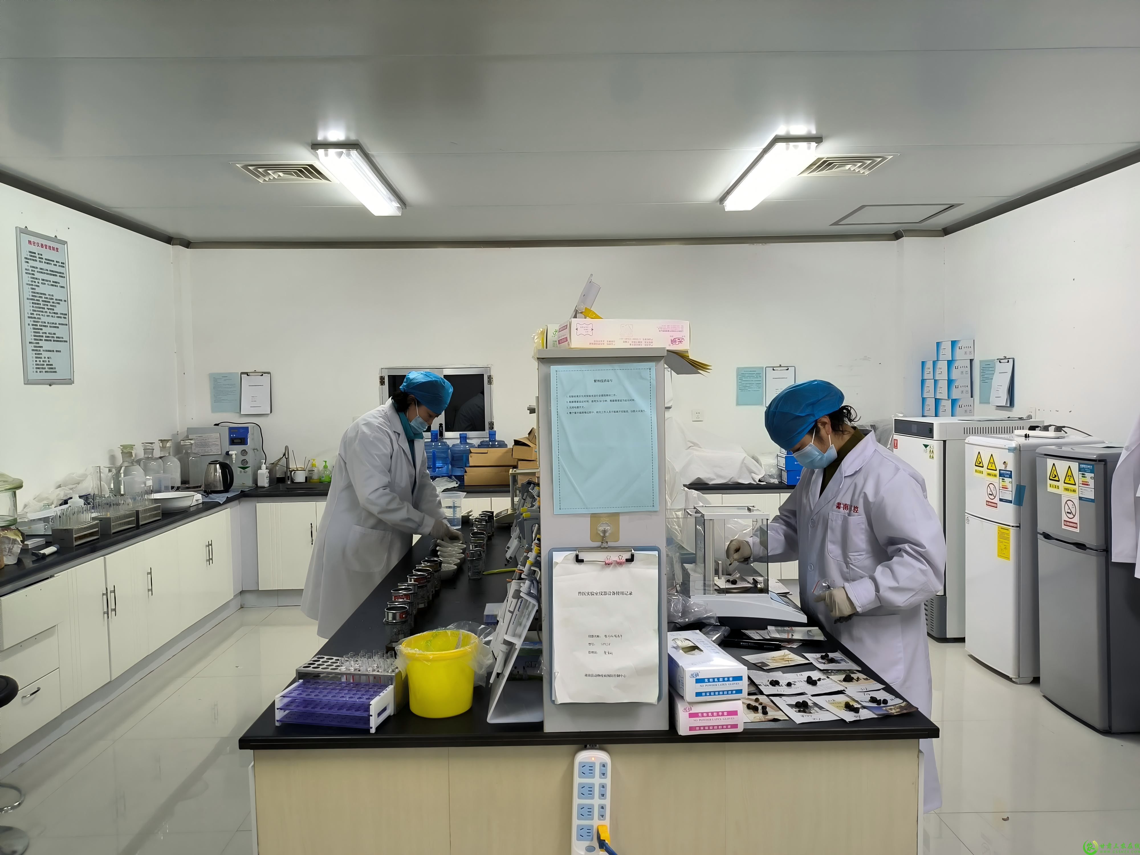 试点应用新型驱虫药  驱虫效果凸显2(1).jpg