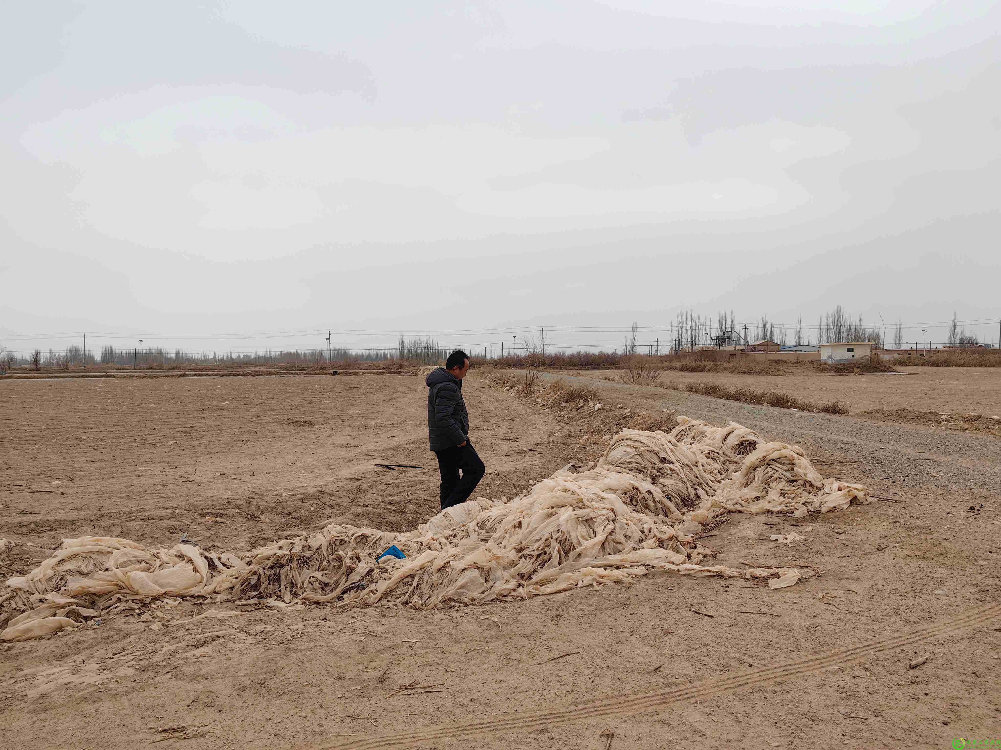 2月5日黄渠镇督查废旧农膜2.jpg