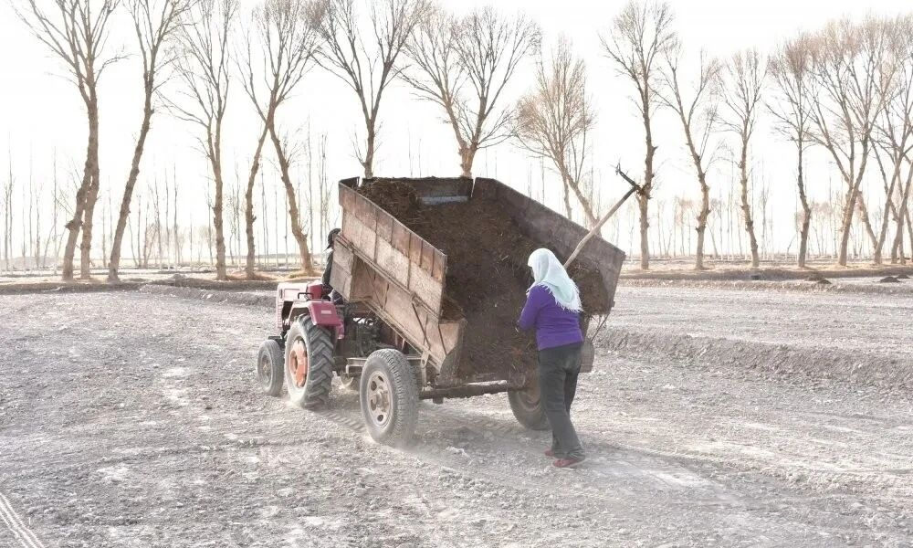 布隆吉乡积极探索生态循环农业模式，鼓励农户对畜禽粪便进行收集、堆沤发酵，制成优质农家肥还田.png