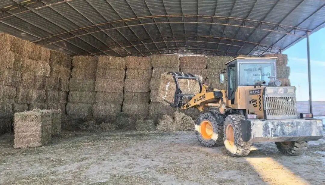田间收集的玉米、小麦秸秆经过快速粉碎、压实、打包等工序，转眼间变身规格一致的“草面包”.jpg