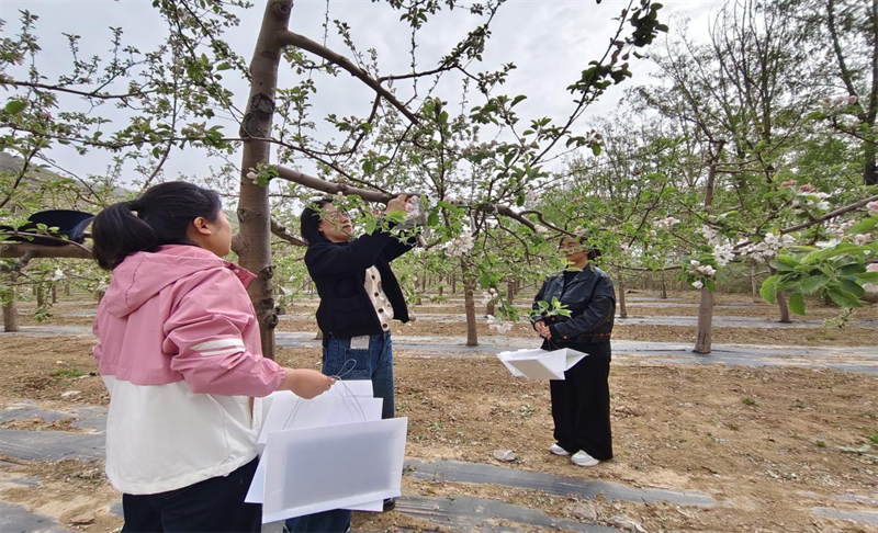 布好重大疫情防线&nbsp;  守护全县果品安全.png