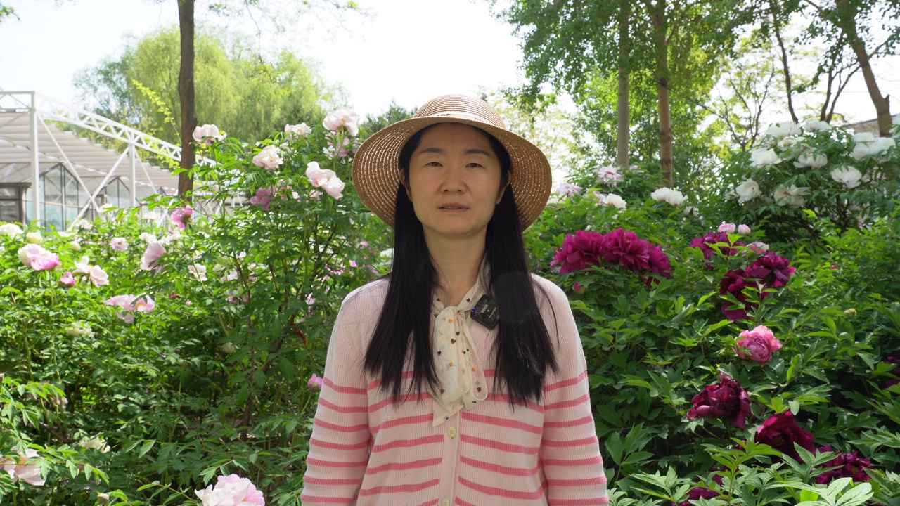 C0042T01.JPG