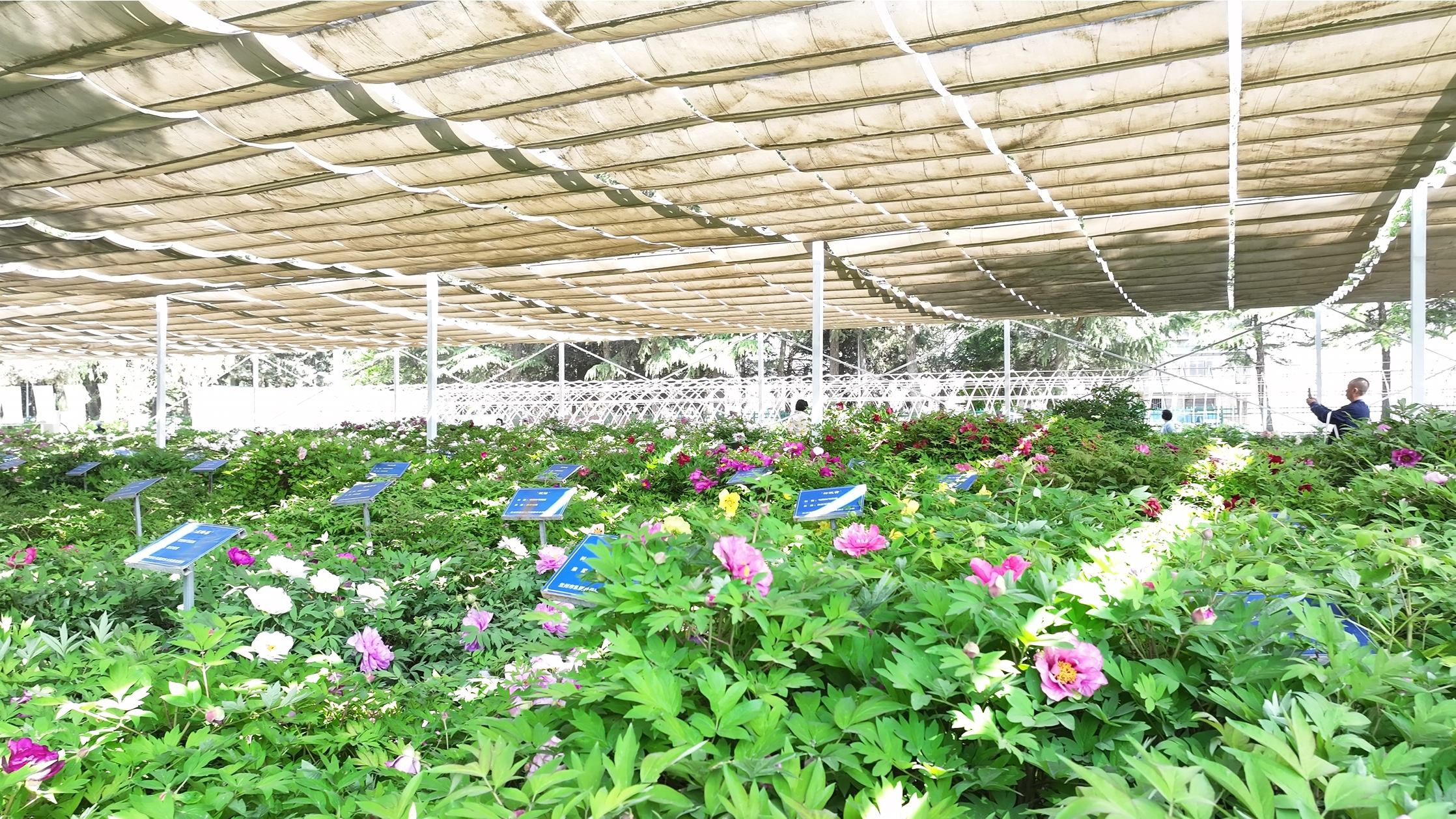 bb959d353de3afcf5693cc8423d4dbc5.jpg