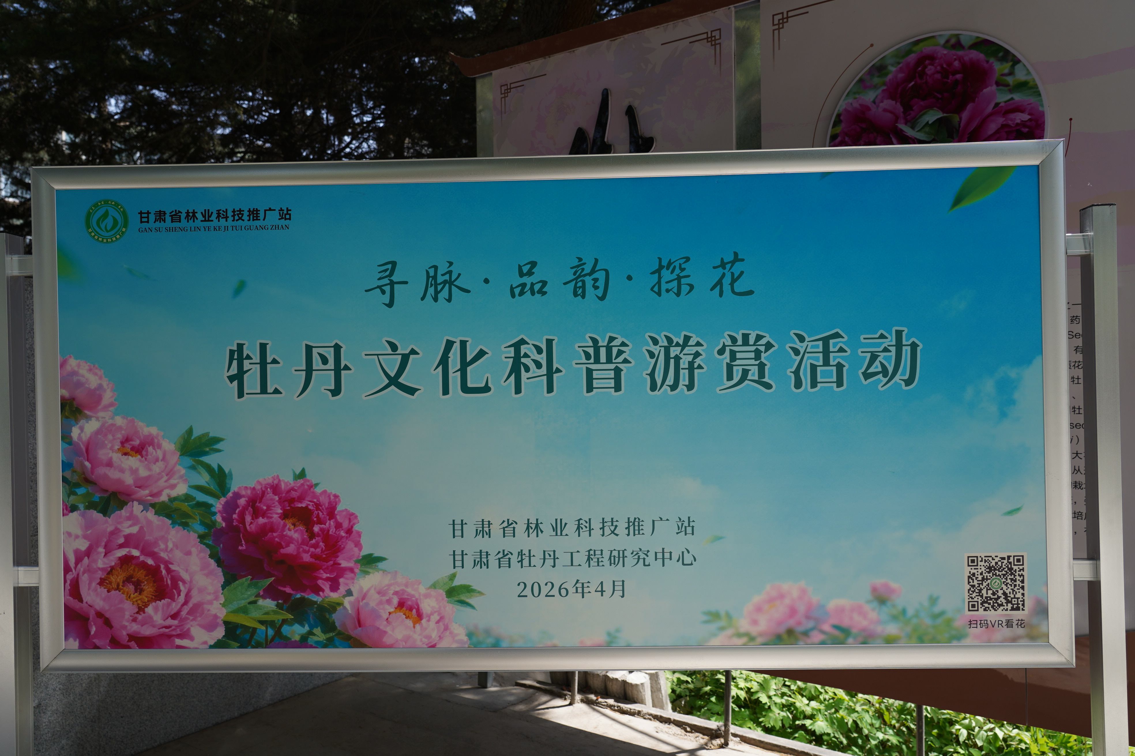 DSC07679.jpg