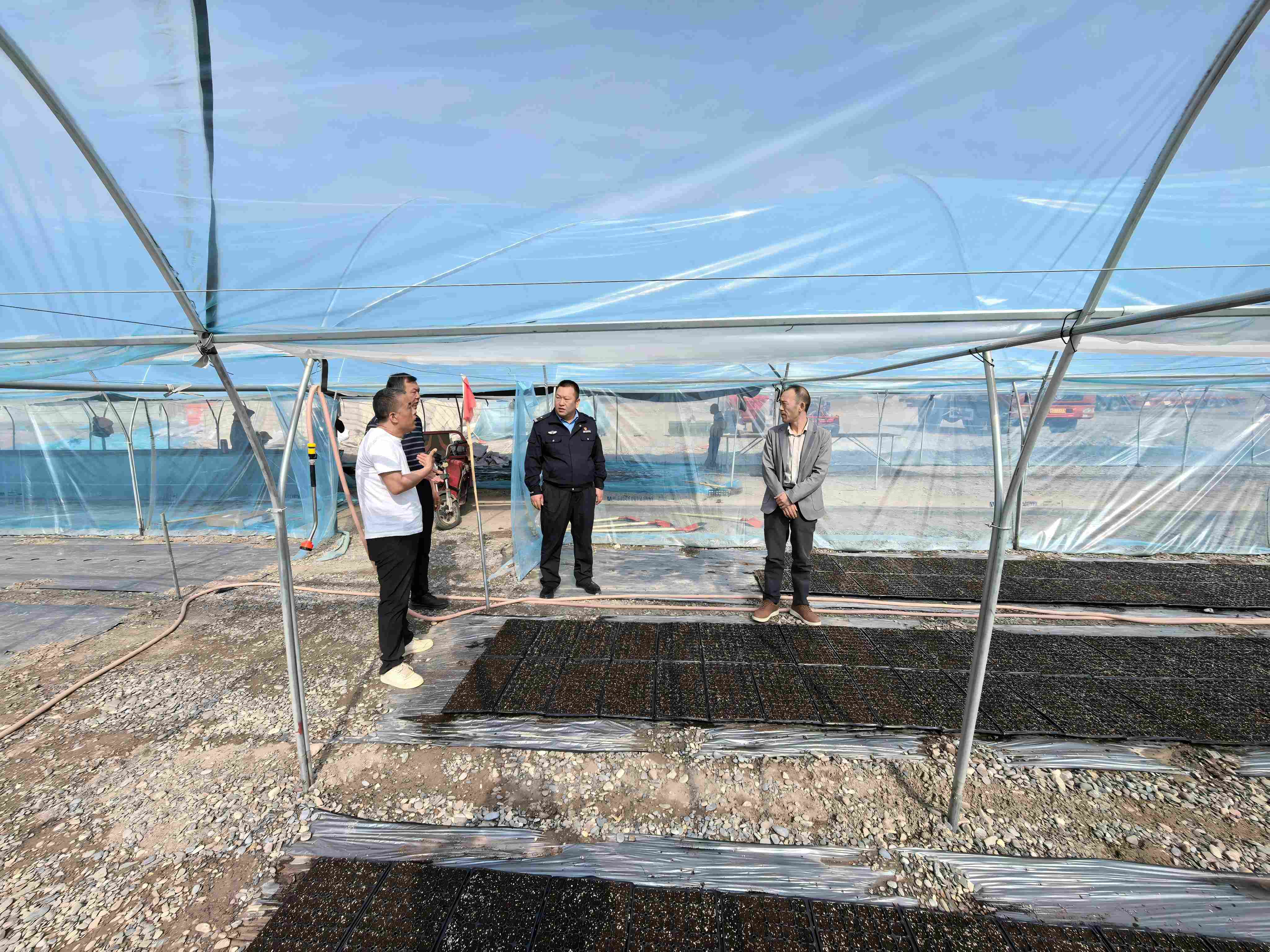 瓜州县腰站子东乡族镇千亩钢架大棚蜜瓜基地2(1).jpg