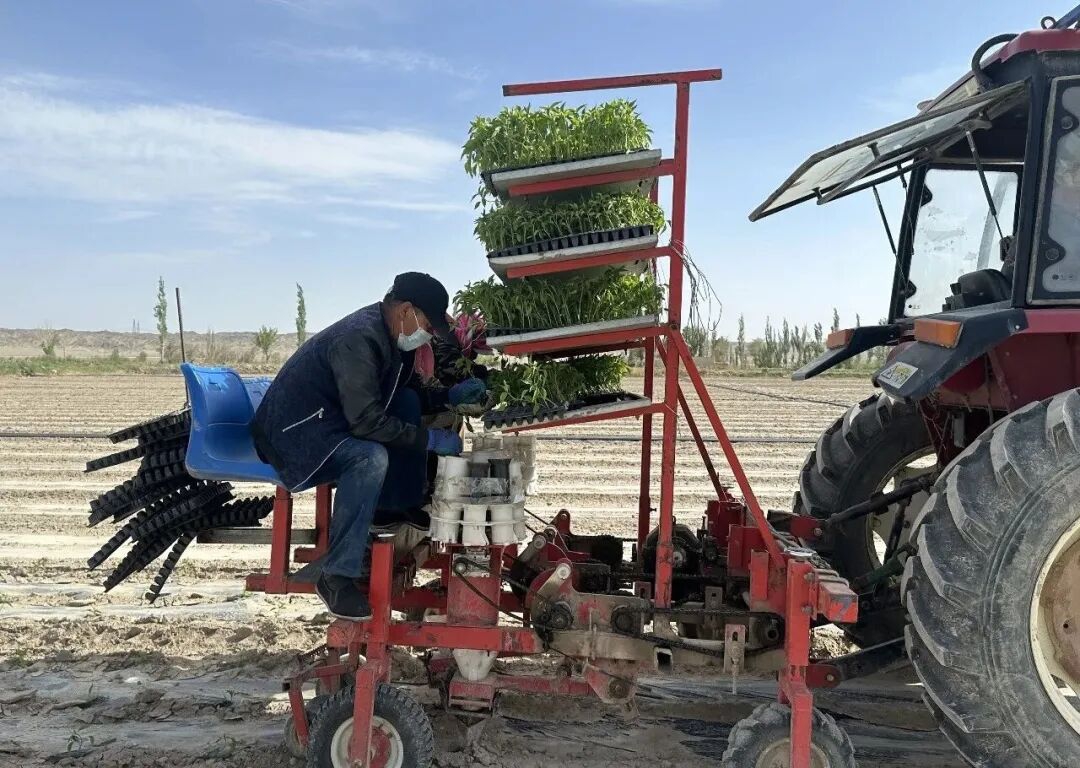 播种现场2.jpg