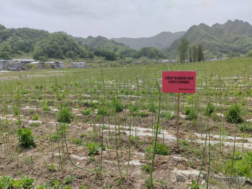 微信图片_2026-05-14_083836_477.png