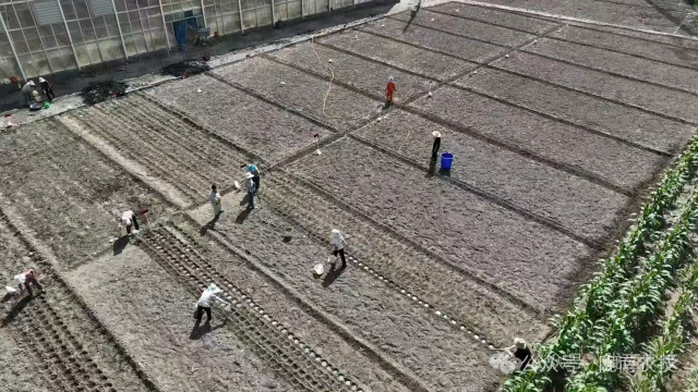 微信图片_2026-05-14_083900_182.png