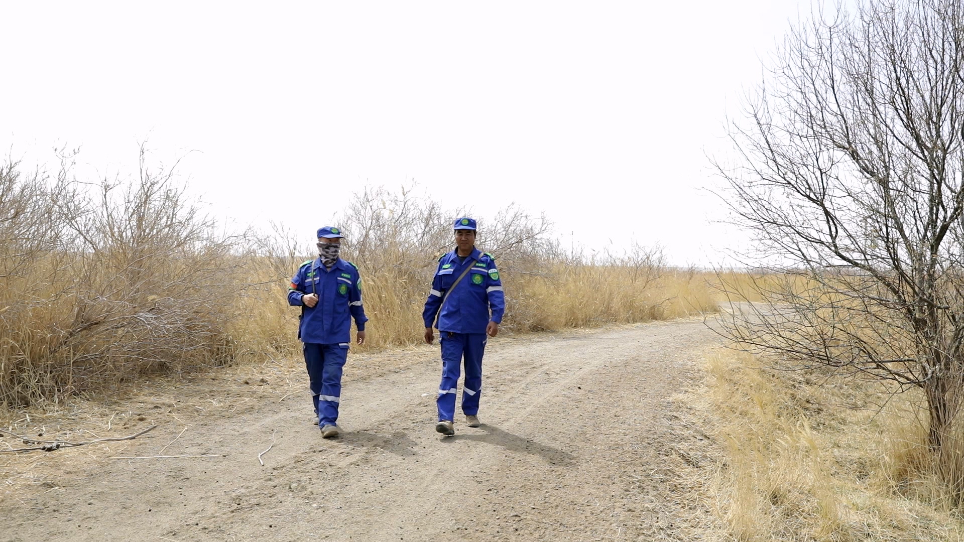 瓜州县林业草原事务中心林草巡护工作人员紧盯湿地核心区、水源地及野生动物迁徙通道等重点区域，常态化开展巡护排查 (2).jpg