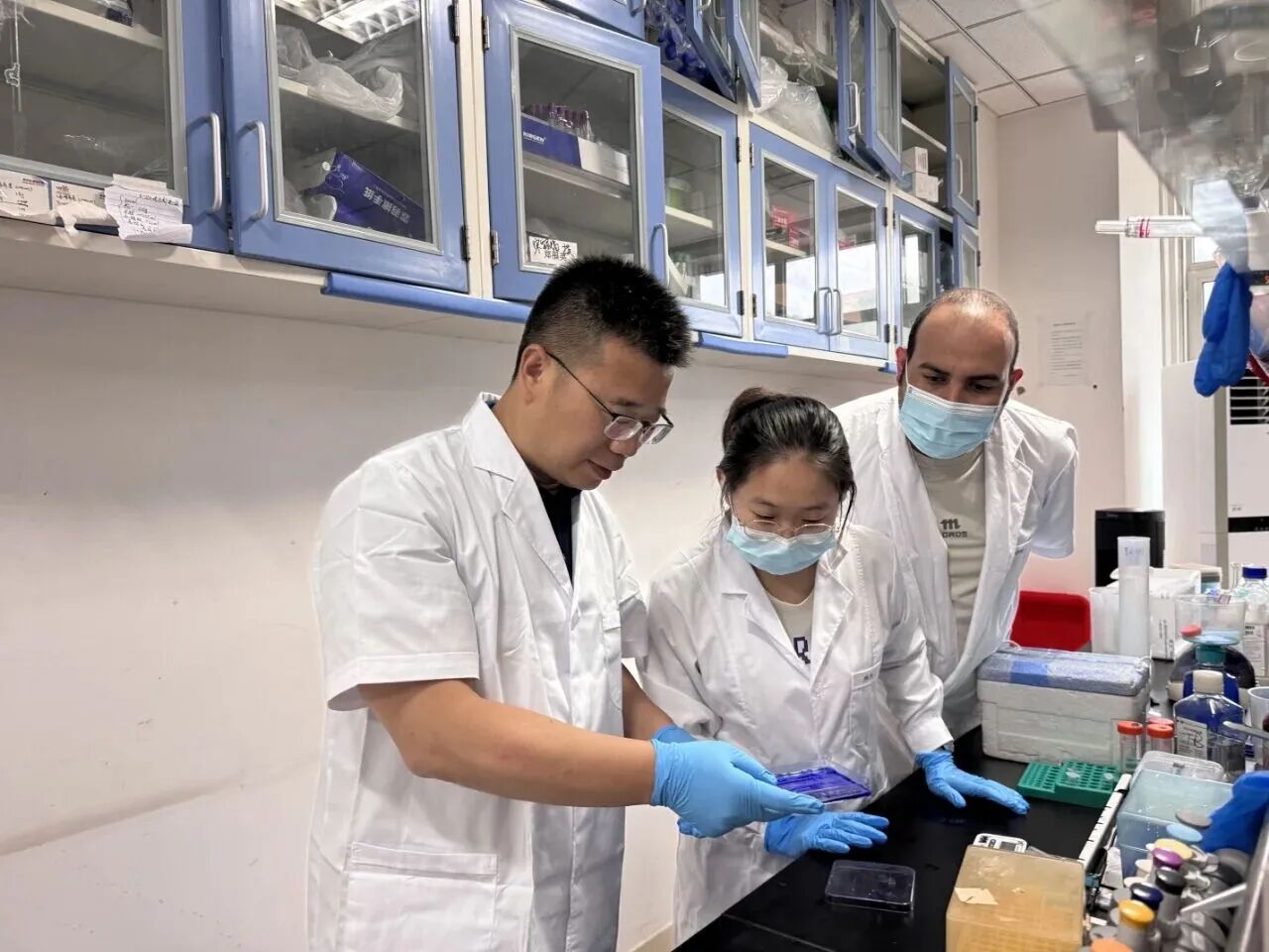 8a32470a2841d27b3416f8957e9e2639.jpg