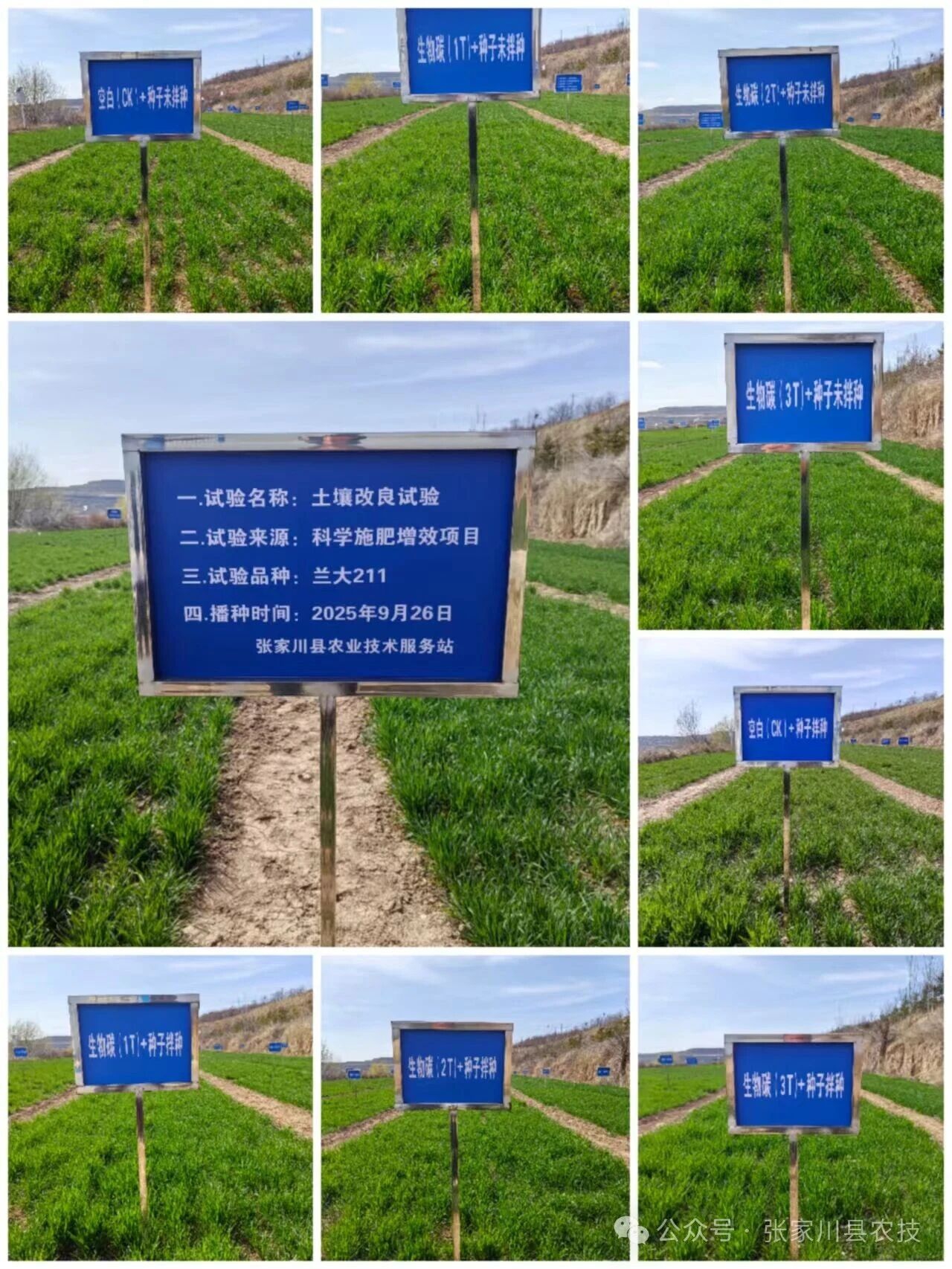 d4b0474f817aabe743c30d641d5e759c.jpg