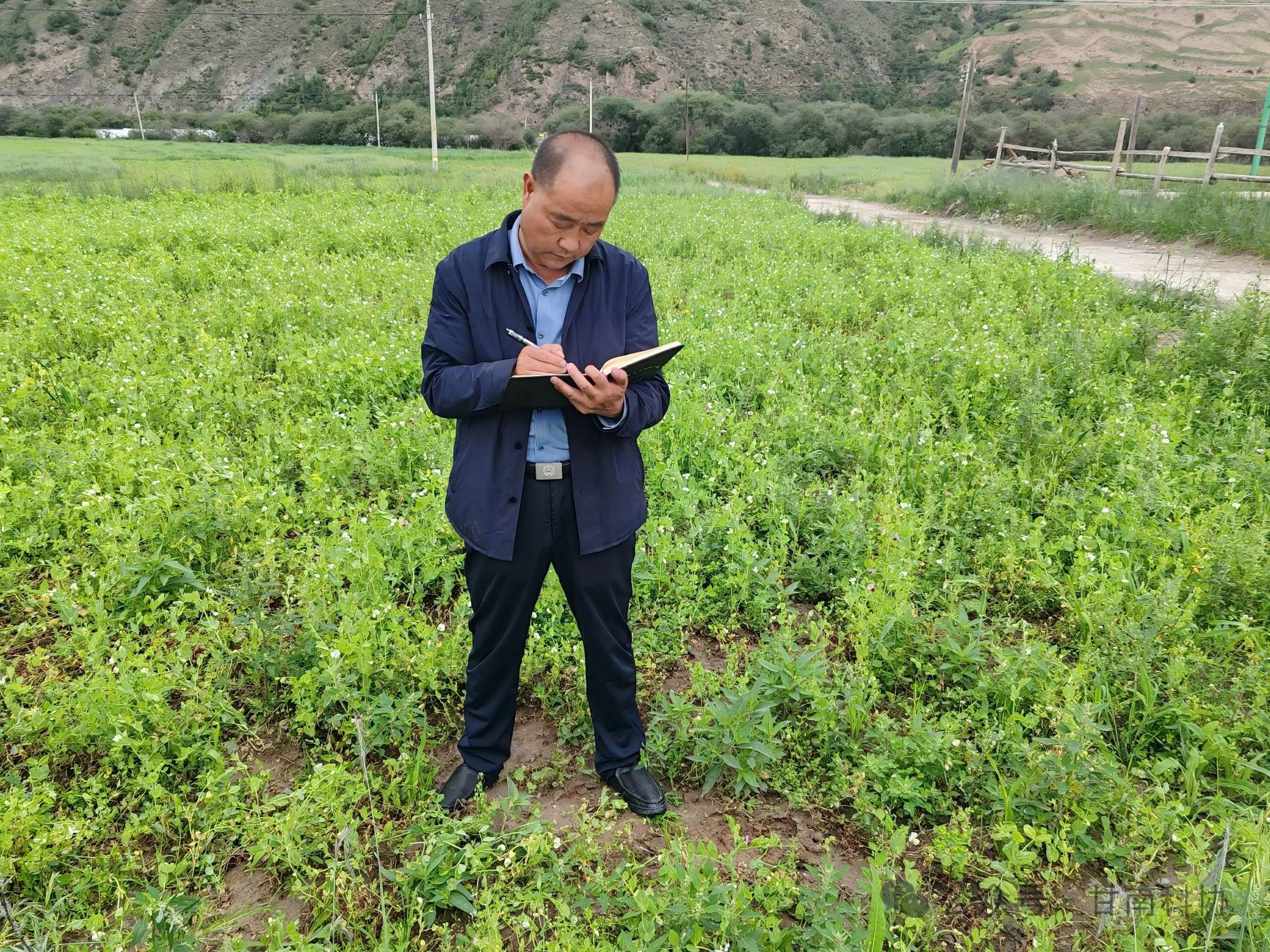 微信图片_2026-05-28_161734_394(1).jpg