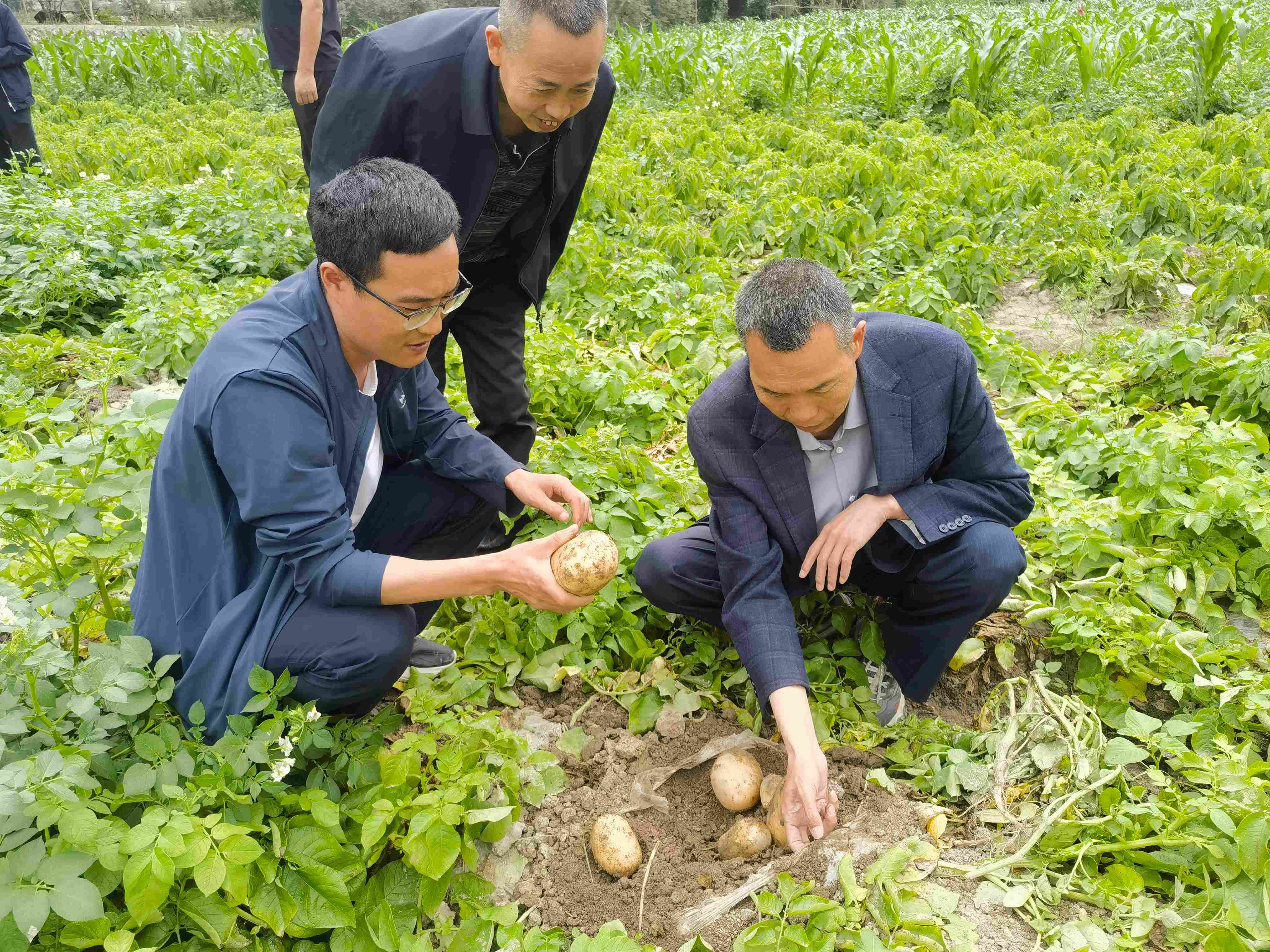微信图片_20260529105743_135_152.jpg