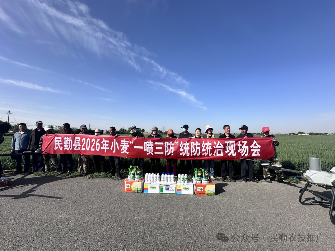 16554c57fe856decaa7c4ed39c55513e.png