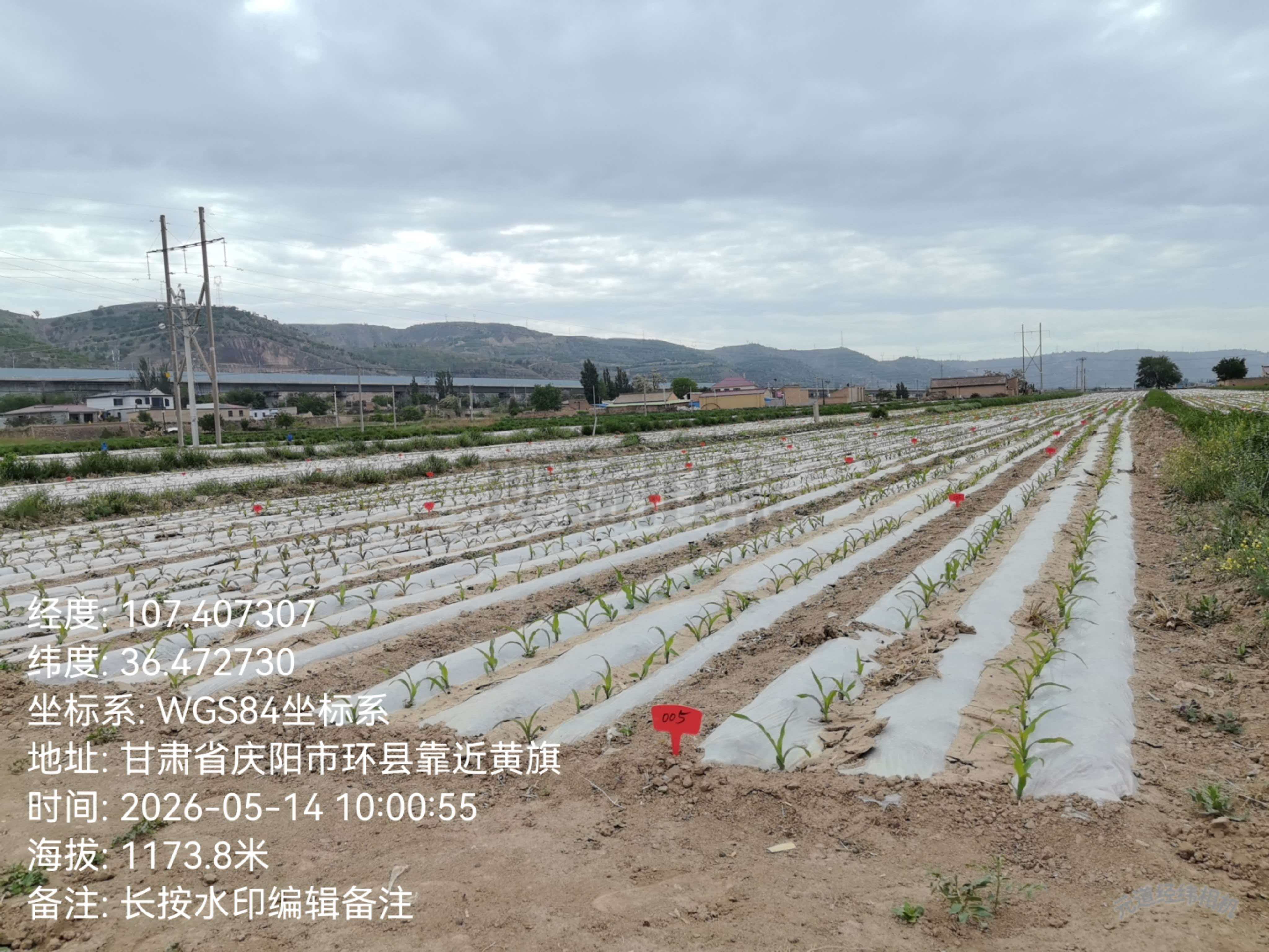 微信图片_20260528110010_1346_3.jpg