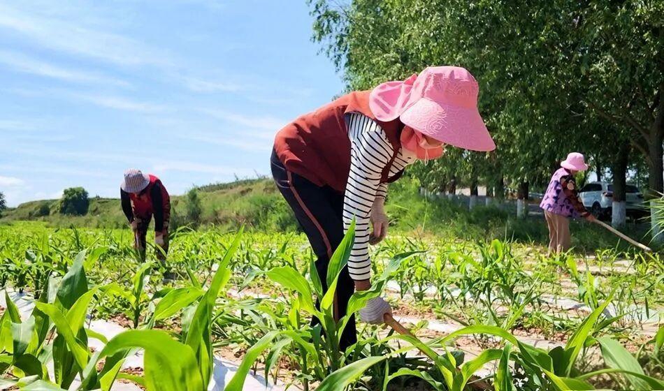 微信图片_2026-06-24_112602_302.jpg