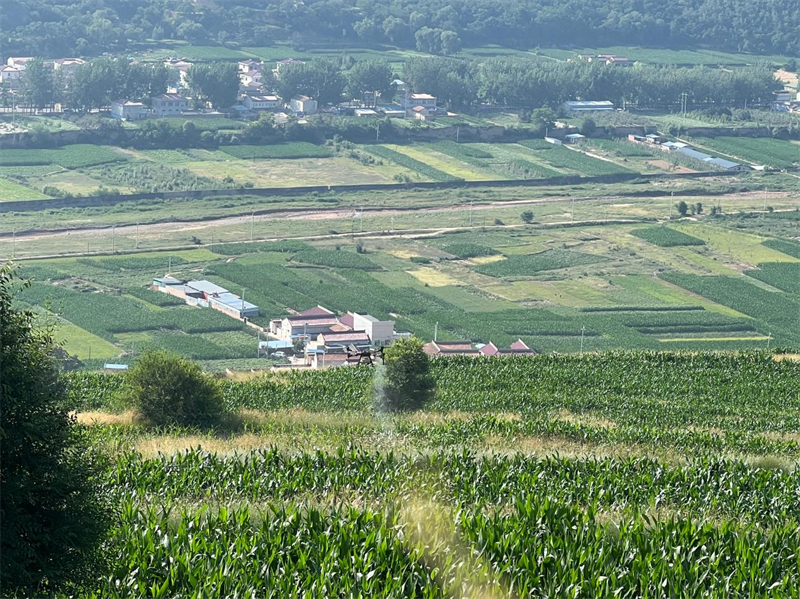 图片3.png