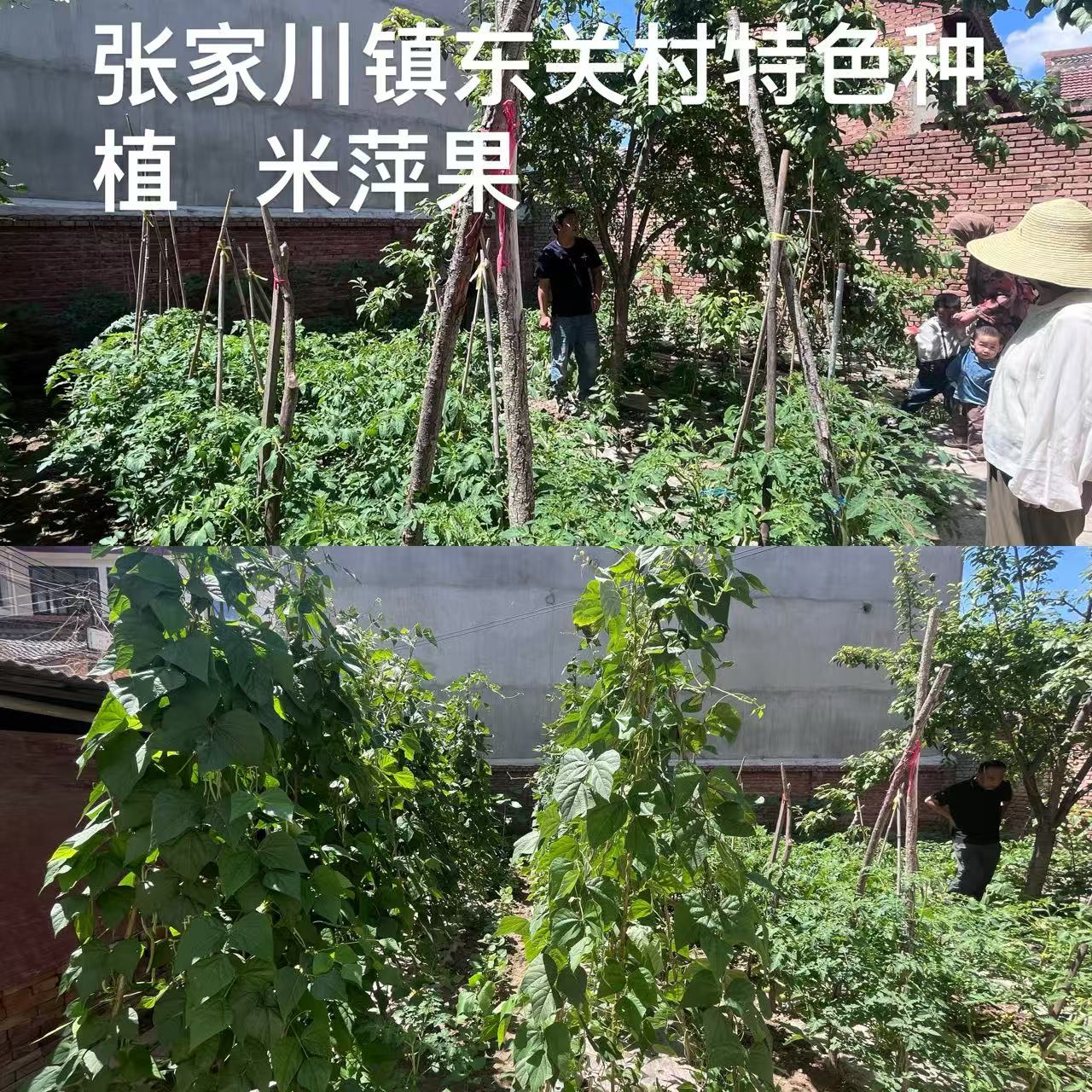 微信图片_20260713090210_49_321(1).jpg