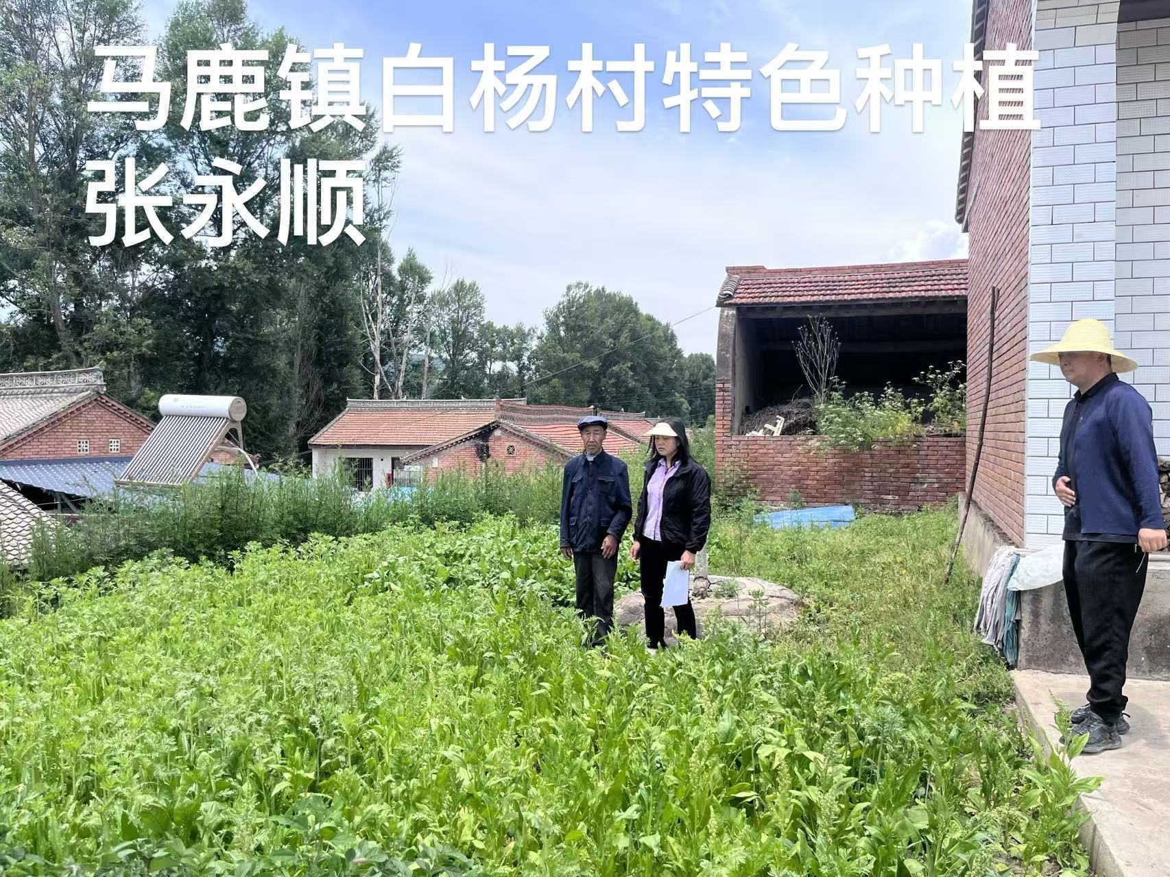 微信图片_20260713091634_58_321.jpg