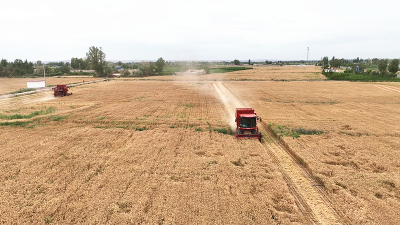 DJI_0495.JPG