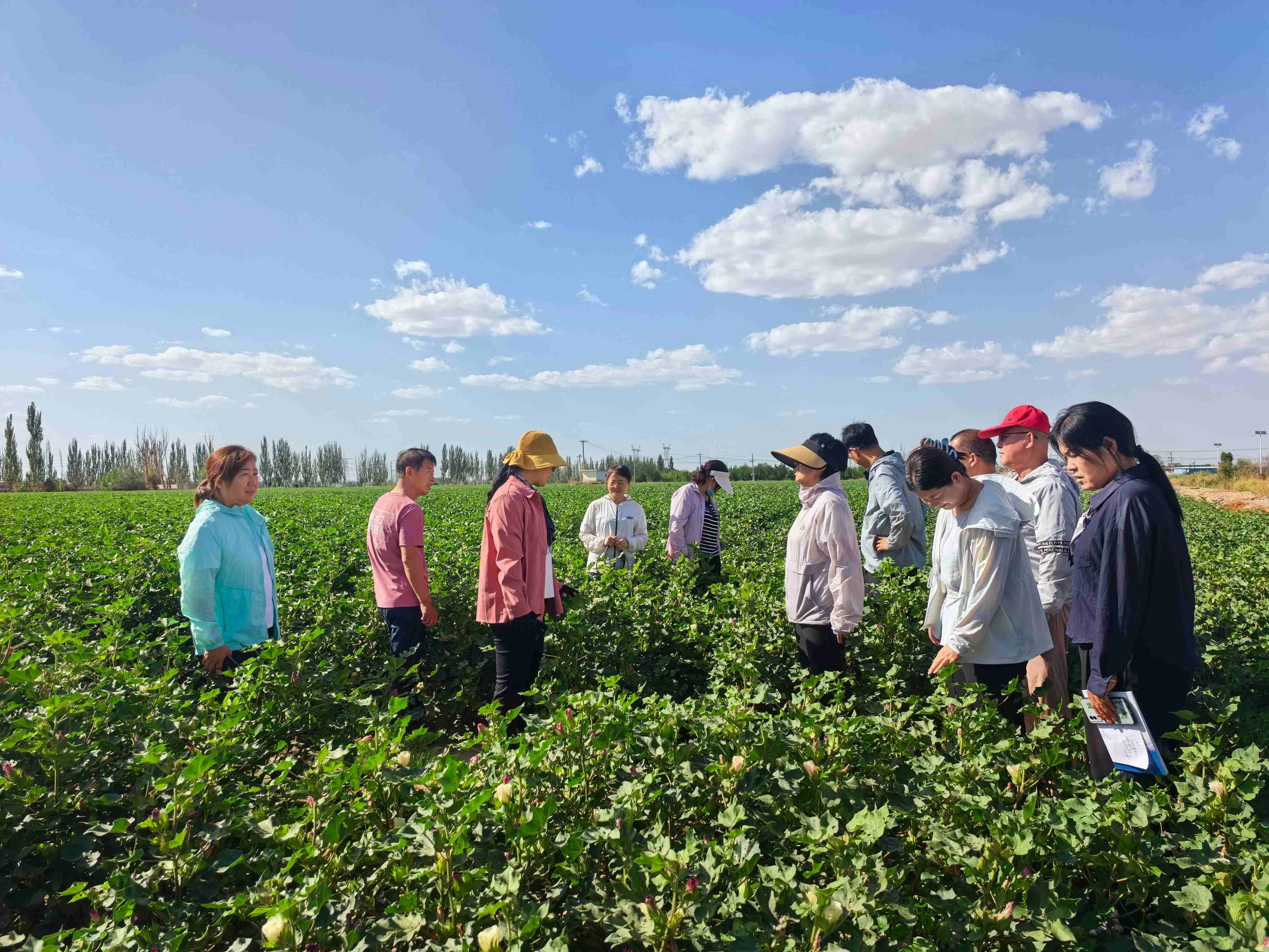 图片11.jpg