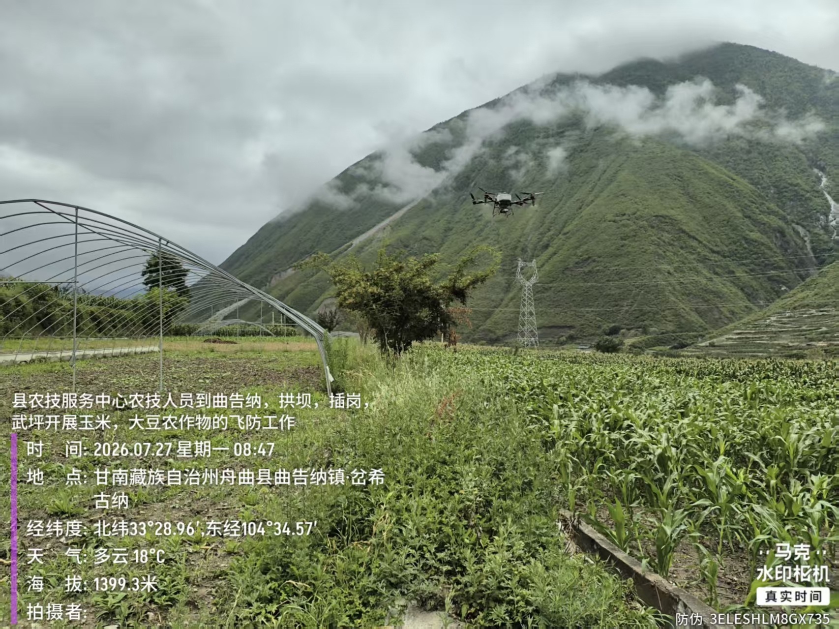 微信图片_20260730105054_58_379.jpg