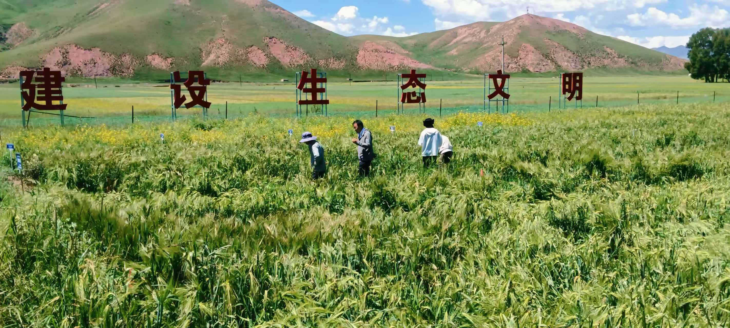 微信图片_20260805092445_3577_9.jpg