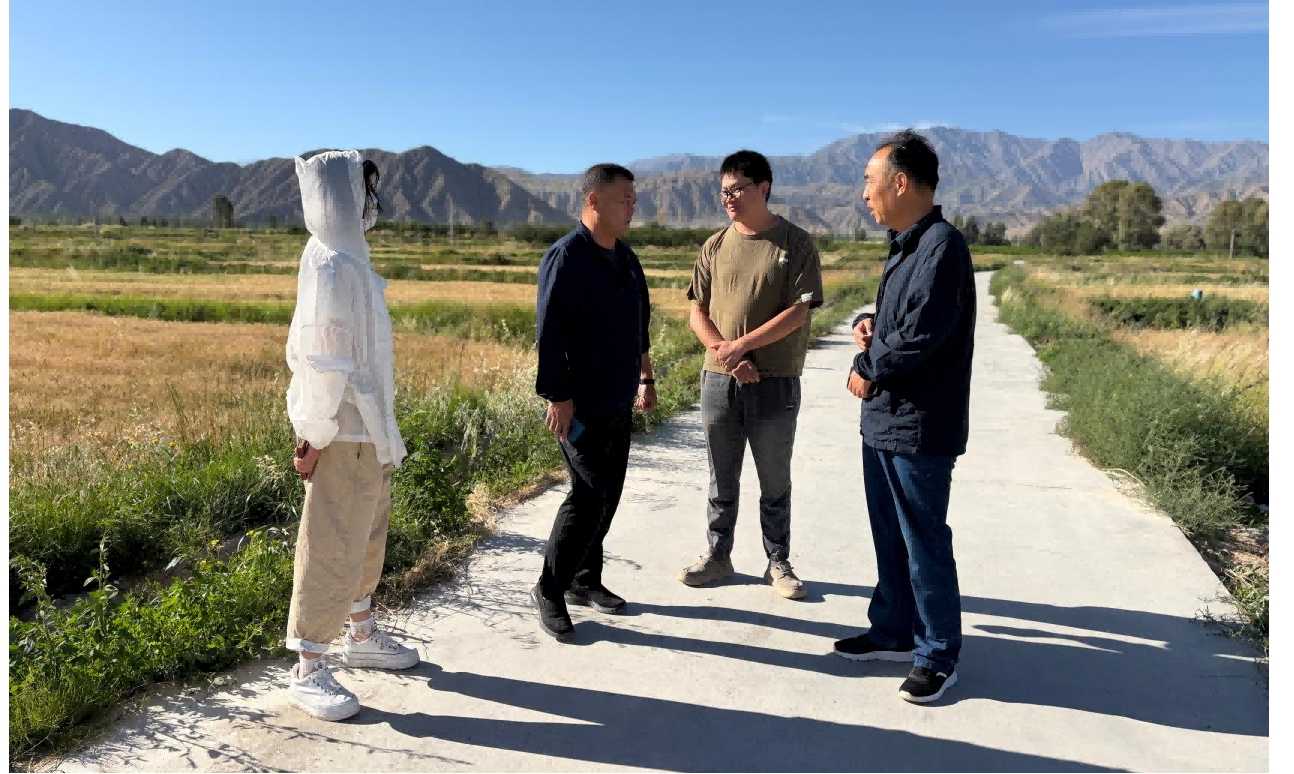 图片1.png