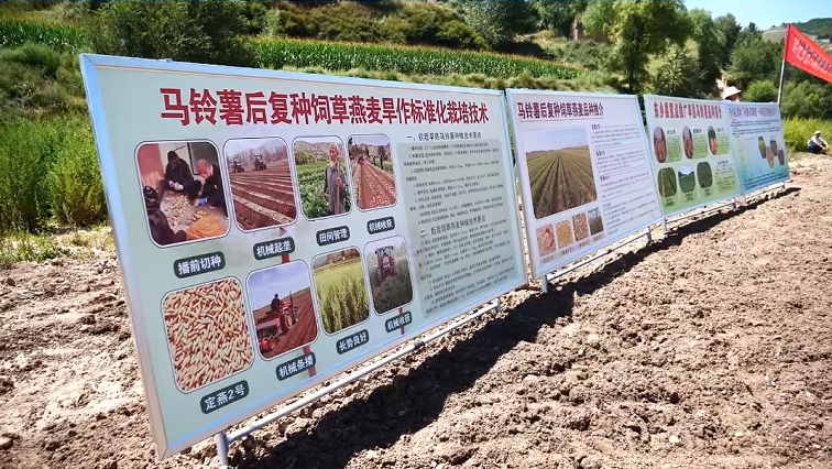 微信图片_20260807165114_5946_6.png