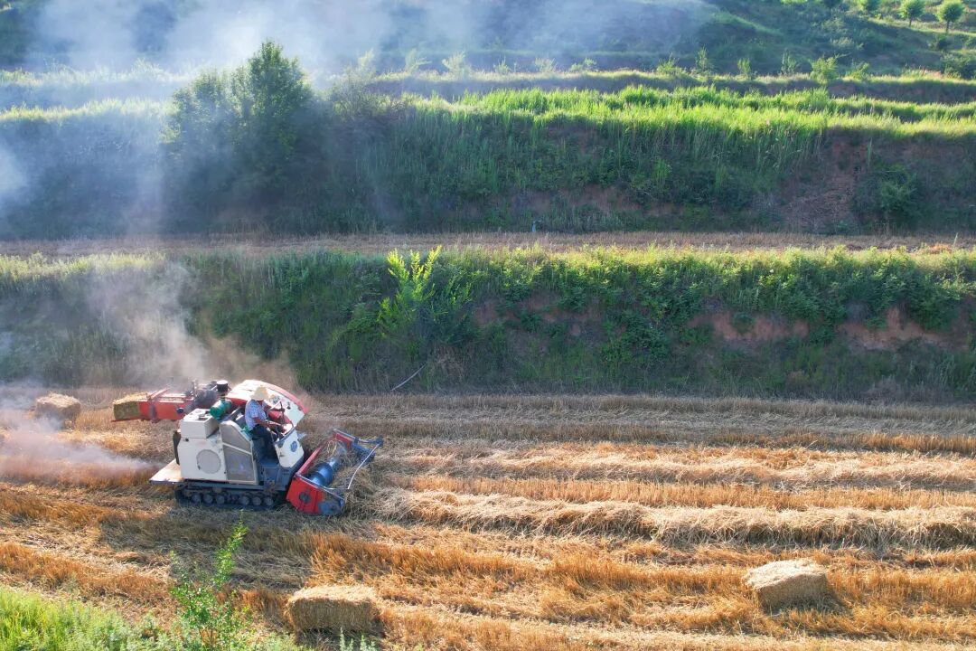 微信图片_2026-08-13_113942_316.jpg