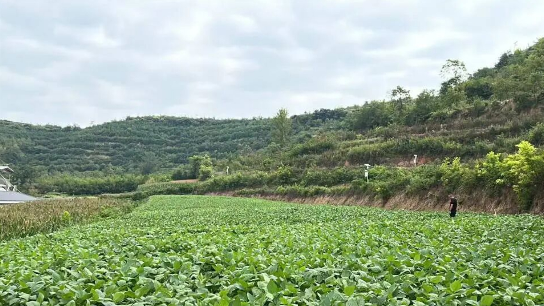 微信图片_20260817145106_125_3.jpg