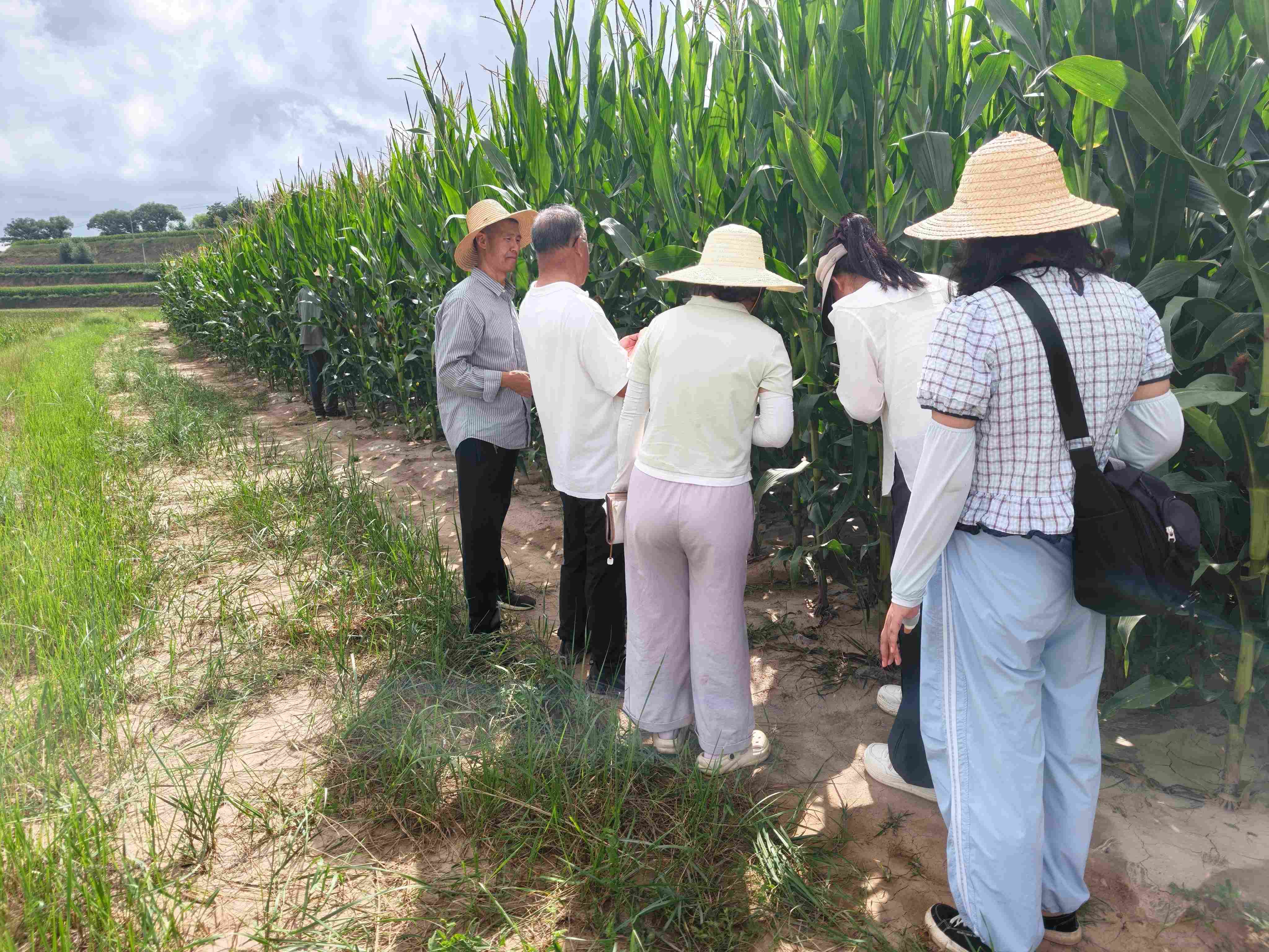 微信图片_20260818103517_19_57.jpg