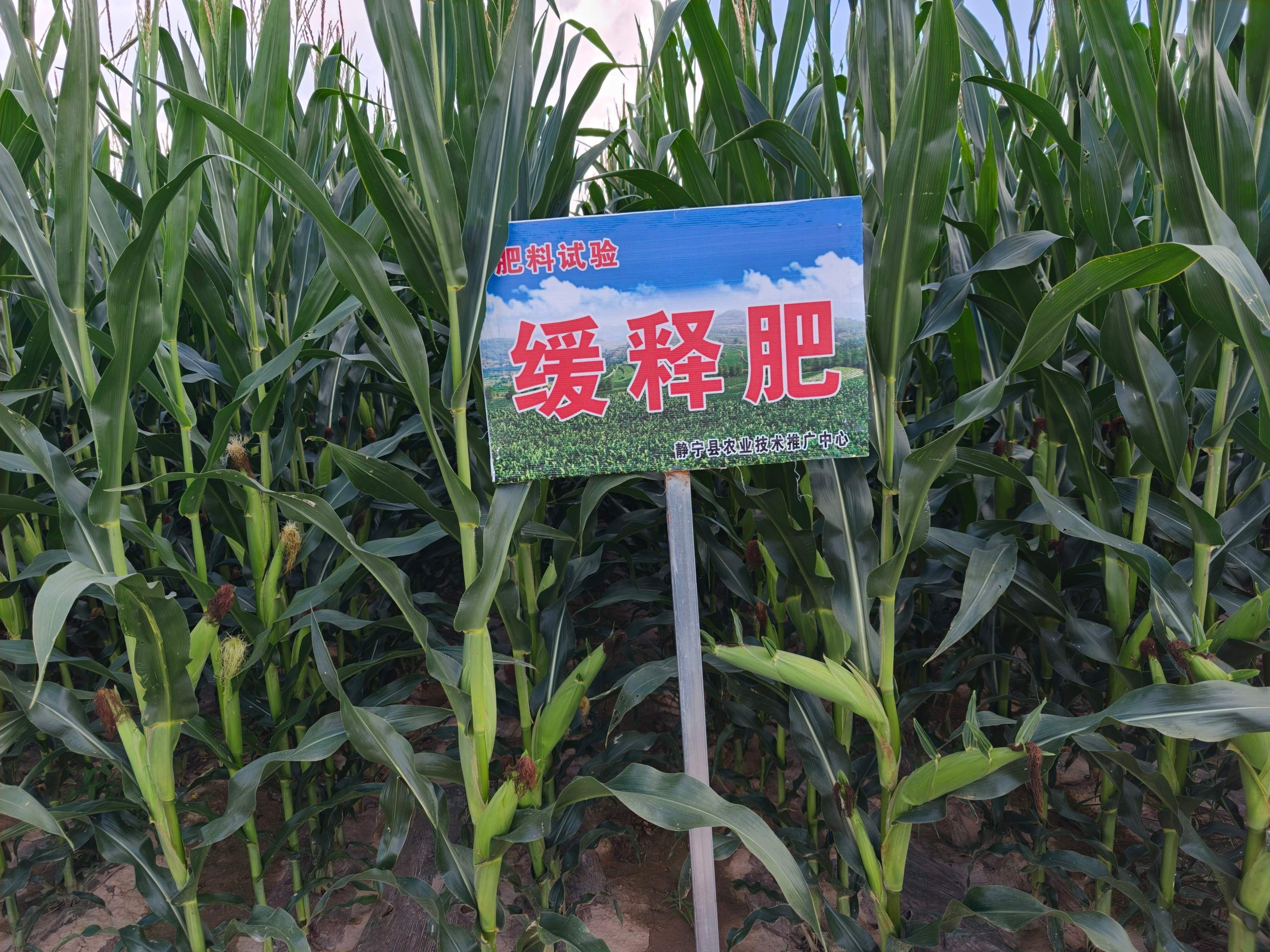 微信图片_20260818103615_33_57.jpg