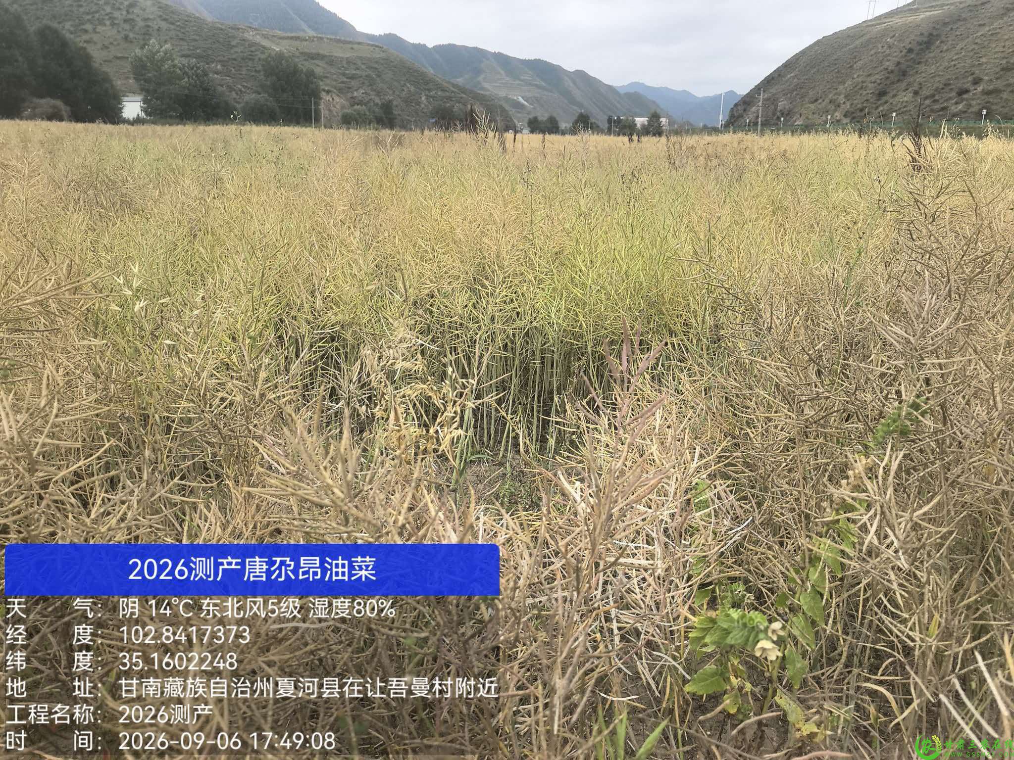 微信图片_20260907105914_65_90.jpg