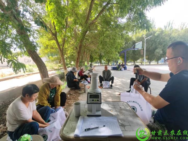 对玉米进行分拣.jpg