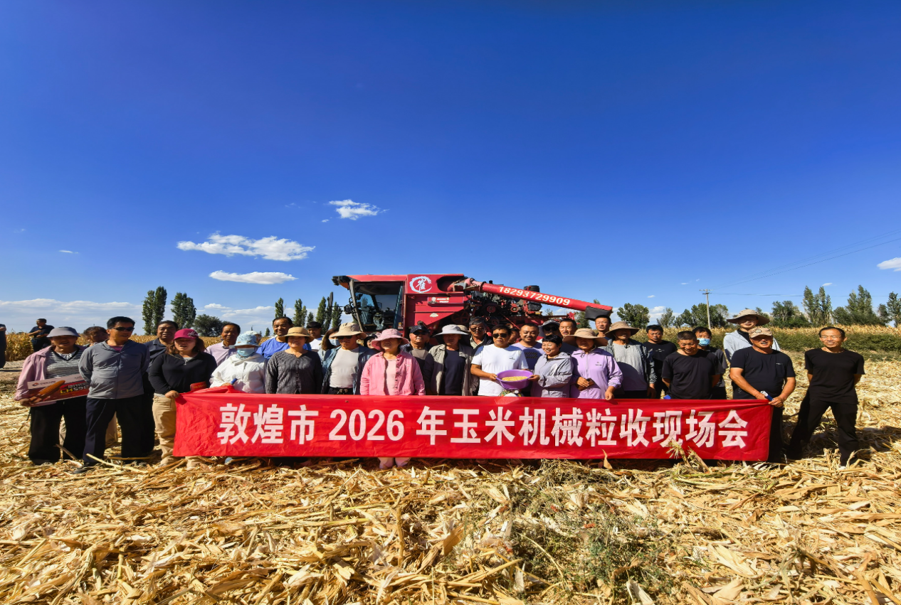 图片17.png