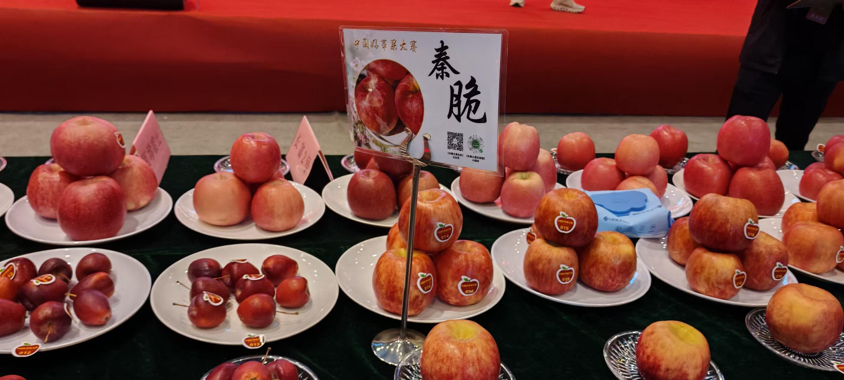 微信图片_20261016175018_615_5.jpg
