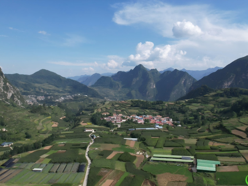 春种“技术粟” 秋收“万颗金”——舟曲县2025年