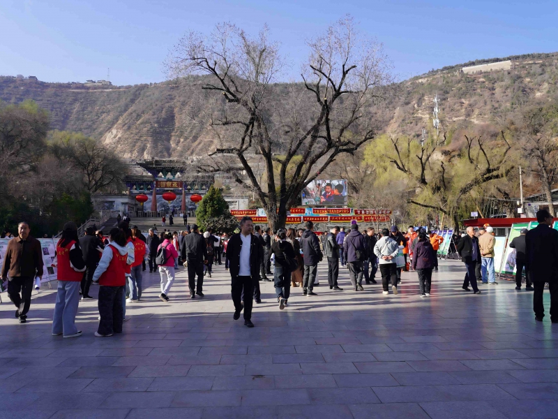 “3·12”植树节甘肃省开展2026年全民义务植树