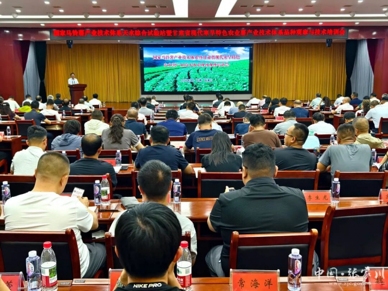 甘肃省现代寒旱特色农业薯产业技术体系品种观摩与技术