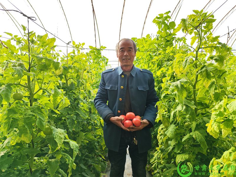 种植户脸上写满了笑容.jpg